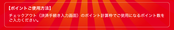 【ポイント使用方法】チェックアウト（決済手続き入力画面）のポイント計算枠でご使用になるポイント数をご入力ください。