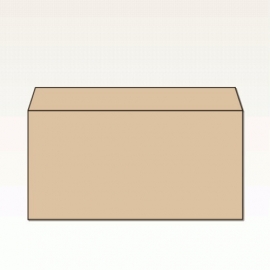 【オリジナル封筒】W235xH120+F50内カマス貼封筒(なし)(両横貼)