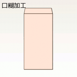 【オリジナル封筒】W120xH235+F22封筒(10mmテープ)(C貼)