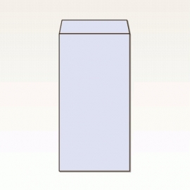 【オリジナル封筒】W240xH332+F38封筒(なし)(C貼)