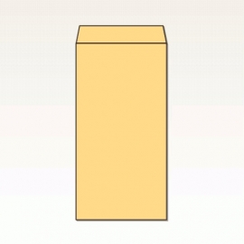 【オリジナル封筒】W120xH235+F22封筒(なし)(C貼)