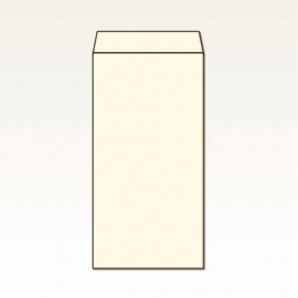 【オリジナル封筒】W162xH229+F30封筒(なし)(S貼)