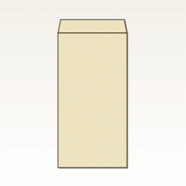 【オリジナル封筒】W120xH235+F22封筒(なし)(S貼)