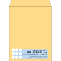 デザイン #v_rig_4