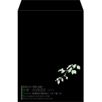 【既製品】角2(240x332mm)（〒枠なし）